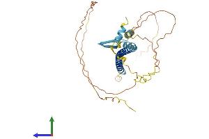 AlphaFold protein structure predicition of Human Recombinant CREBZF Protein, UniprotID Q9NS37