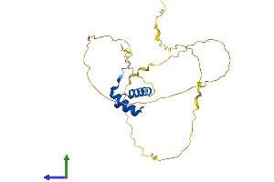 AlphaFold protein structure predicition of Human Recombinant MEOX1 Protein, UniprotID P50221