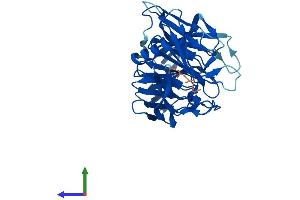 AlphaFold protein structure predicition of Mouse Recombinant Klhdc9 Protein, UniprotID Q3USL1