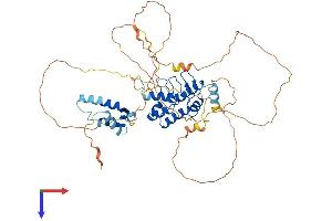 AlphaFold protein structure predicition of Human Recombinant SOWAHC Protein, UniprotID Q53LP3 (ANKRD57 Protein (AA 1-525) (His tag))