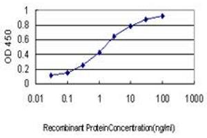 Detection limit for recombinant GST tagged RIOK3 is approximately 0. (RIOK3 antibody  (AA 411-516))