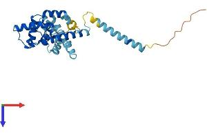 DnaJ (Hsp40) Homolog, Subfamily C, Member 9 (DNAJC9) (AA 1-259) protein (His tag)