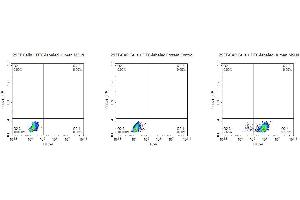 Flow Cytometry (FACS) image for Mesothelin (MSLN) (AA 296-580) protein (FITC,His-Avi Tag) (ABIN7275287)