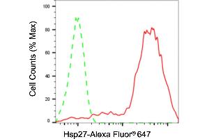 Flow cytometric analysis of Hsp27 expression in HaCaT cells using Hsp27 antibody (ABIN7798846), 1:2,000). (Recombinant HSP27 antibody)