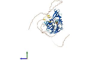 AlphaFold protein structure predicition of Human Recombinant USP17L13 Protein, UniprotID C9JLJ4 (USP17L13 Protein (AA 1-530) (His tag))