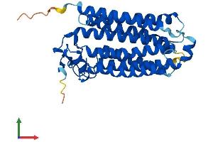 Protein Structure (PS) image for Progestin and AdipoQ Receptor Family Member V (PAQR5) (AA 1-330) protein (His tag) (ABIN7549459)