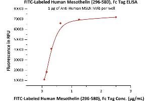 ELISA image for Mesothelin (MSLN) (AA 296-580) protein (Fc Tag,FITC) (ABIN5954924)