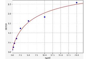 Typical standard curve (WNT3A ELISA Kit)