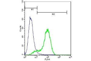 Human A549 lysates probed with Rabbit Anti-MAS1 Polyclonal Antibody, Unconjugated (ABIN759911) (green) at 1:50 for 40 minutes followed by a FITC conjugated secondary compared to control cells (blue). (MAS1 antibody  (AA 51-150))