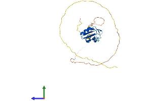 AlphaFold protein structure predicition of Human Recombinant SRSF12 Protein, UniprotID Q8WXF0 (SRSF12 Protein (AA 1-261) (His tag))