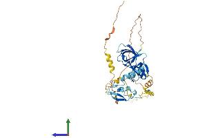 AlphaFold protein structure predicition of Human Recombinant STAC3 Protein, UniprotID Q96MF2 (STAC3 Protein (AA 1-364) (His tag))