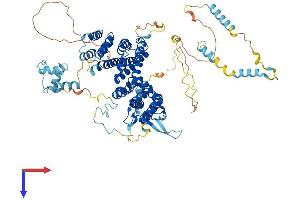 ASCC2 Protein (AA 1-757) (His tag)