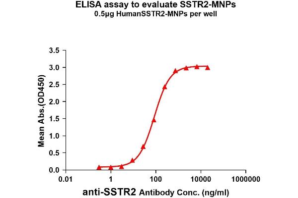 SSTR2 Protein
