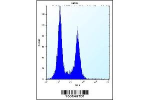 Flow cytometric analysis of Ramos cells (right histogram) compared to a negative control cell (left histogram). (UBN2 antibody  (N-Term))