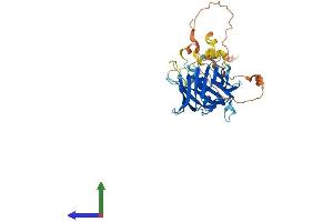 Protein Structure (PS) image for Phospholipid Scramblase 4 (PLSCR4) (AA 1-329) protein (His tag) (ABIN7550765)