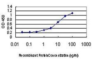 Detection limit for recombinant GST tagged GDI1 is approximately 0. (GDI1 antibody  (AA 1-447))
