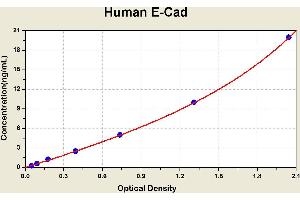 Diagramm of the ELISA kit to detect Human E-Cadwith the optical density on the x-axis and the concentration on the y-axis. (E-cadherin ELISA Kit)