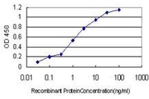 Detection limit for recombinant GST tagged TXNL4A is approximately 0. (TXNL4A antibody  (AA 1-142))