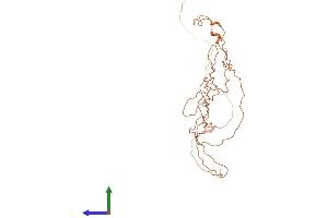 AlphaFold protein structure predicition of Human Recombinant KRTAP10-11 Protein, UniprotID P60412