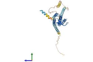 Protein Structure (PS) image for Gap Junction Protein, delta 2, 36kDa (GJD2) (AA 1-321) protein (His tag) (ABIN7562430)