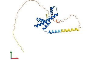 Protein Structure (PS) image for TATA Box Binding Protein Associated Factor 11 (TAF11) (AA 1-211) protein (His tag) (ABIN7560324)