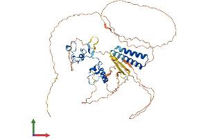AlphaFold protein structure predicition of Human Recombinant TESMIN Protein, UniprotID Q9Y4I5 (MTL5 Protein (AA 1-508) (His tag))