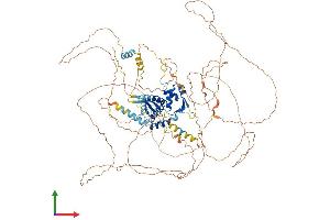 AlphaFold protein structure predicition of Mouse Recombinant E2f7 Protein, UniprotID Q6S7F2