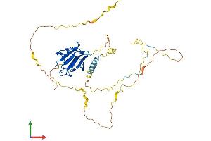 Protein Structure (PS) image for Protein Phosphatase 1, Regulatory Subunit 8 (PPP1R8) (AA 1-351) protein (His tag) (ABIN7559731)