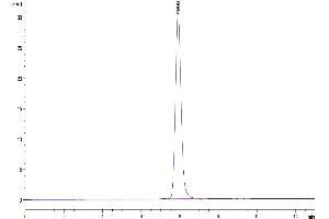 Size-exclusion chromatography-High Pressure Liquid Chromatography (SEC-HPLC) image for Interleukin 19 (IL19) (AA 25-177) protein (Fc Tag) (ABIN7274986)
