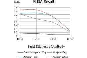 Black line: Control Antigen (100 ng),Purple line: Antigen (10 ng), Blue line: Antigen (50 ng), Red line:Antigen (100 ng) (PEPCK antibody  (AA 44-175))