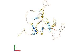 AlphaFold protein structure predicition of Human Recombinant PROSER2 Protein, UniprotID Q86WR7 (PROSER2 Protein (AA 1-435) (His tag))