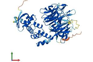AlphaFold protein structure predicition of Human Recombinant KBTBD13 Protein, UniprotID C9JR72 (KBTBD13 Protein (AA 1-458) (His tag))