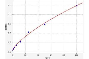 Typical standard curve (ICAM-3/CD50 ELISA Kit)