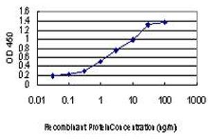 Detection limit for recombinant GST tagged CDKL1 is approximately 0. (CDKL1 antibody  (AA 259-358))