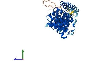 Protein Structure (PS) image for Translocase of Outer Mitochondrial Membrane 34 (TOMM34) (AA 1-309) protein (His tag) (ABIN7560753)