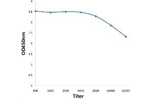 Antigen: 0. (GCET2 antibody  (AA 31-130))