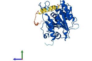 AlphaFold protein structure predicition of Human Recombinant B3GALT1 Protein, UniprotID Q9Y5Z6 (B3GALT1 Protein (AA 1-326) (His tag))