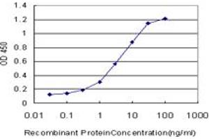Detection limit for recombinant GST tagged ENG is approximately 0. (Endoglin antibody  (AA 27-658))