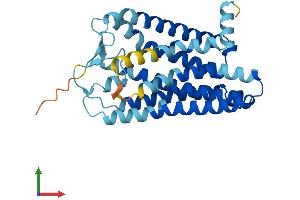 AlphaFold protein structure predicition of Human Recombinant OR13H1 Protein, UniprotID Q8NG92 (OR13H1 Protein (AA 1-308) (His tag))