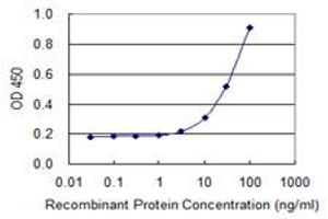 Detection limit for recombinant GST tagged WDR42A is 1 ng/ml as a capture antibody. (DCAF8 antibody  (AA 1-273))