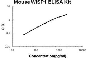 Mouse WISP1/CCN4 PicoKine ELISA Kit standard curve