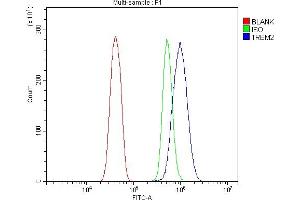 Flow Cytometry analysis of RH35 cells using anti-Trem2 antibody (ABIN7600398). (TREM2 antibody  (AA 19-131))