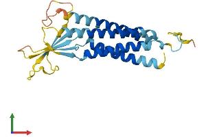 AlphaFold protein structure predicition of Human Recombinant CACNG1 Protein, UniprotID Q06432 (CACNG1 Protein (AA 1-222) (His tag))