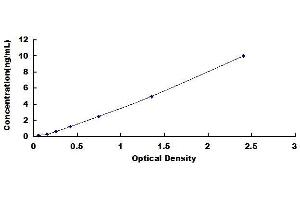 Typical standard curve (CXCR5 ELISA Kit)