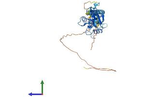 AlphaFold protein structure predicition of Mouse Recombinant Rnf133 Protein, UniprotID Q14B02