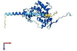 HS2ST1 Protein (AA 1-356) (His tag)