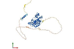 Protein Structure (PS) image for Interferon Stimulated Exonuclease Gene 20kDa-Like 2 (ISG20L2) (AA 1-353) protein (His tag) (ABIN7548400)