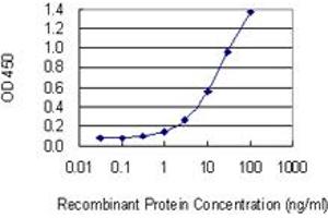 Detection limit for recombinant GST tagged HELLS is 0. (HELLS antibody  (AA 1-348))