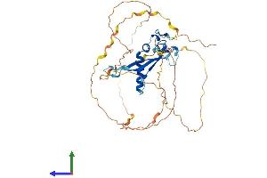 AlphaFold protein structure predicition of Human Recombinant PRR30 Protein, UniprotID Q53SZ7 (PRR30 Protein (AA 1-412) (His tag))