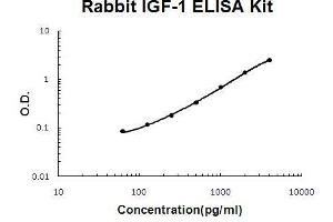 ELISA image for Insulin-Like Growth Factor 1 (IGF1) ELISA Kit (ABIN5510547)